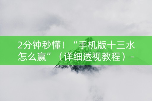 2分钟秒懂！“手机版十三水怎么赢”（详细透视教程）-哔哩哔哩