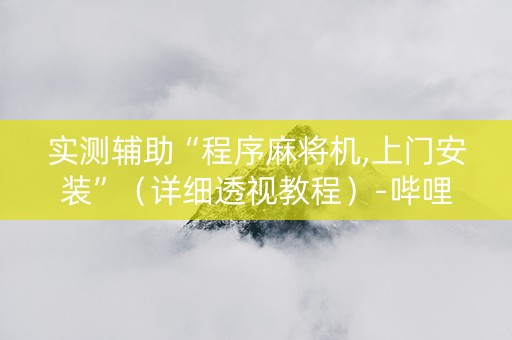 实测辅助“程序麻将机,上门安装”（详细透视教程）-哔哩哔哩