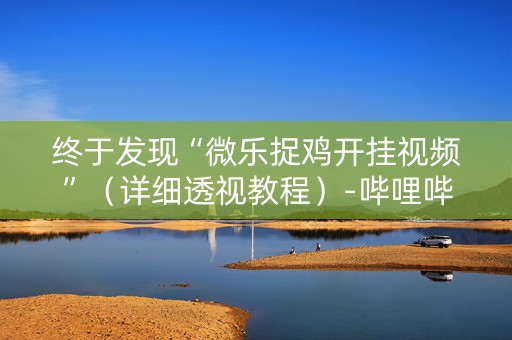 终于发现“微乐捉鸡开挂视频”（详细透视教程）-哔哩哔哩
