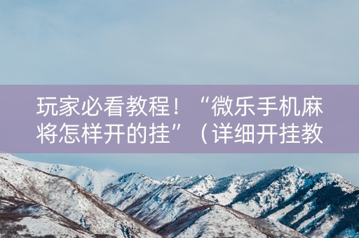 玩家必看教程！“微乐手机麻将怎样开的挂”（详细开挂教程）-哔哩哔哩