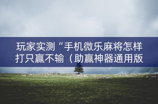 玩家实测“手机微乐麻将怎样打只赢不输（助赢神器通用版）