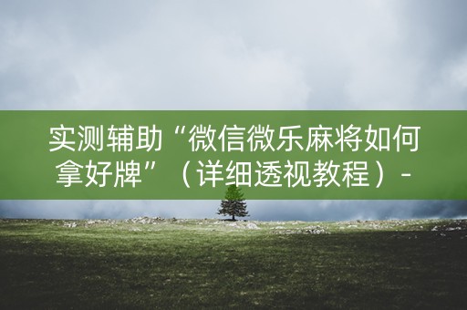 实测辅助“微信微乐麻将如何拿好牌”（详细透视教程）-哔哩哔哩