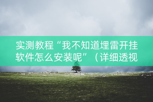 实测教程“我不知道埋雷开挂软件怎么安装呢”（详细透视教程）-哔哩哔哩