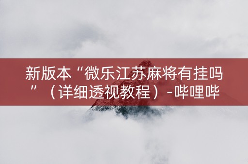 新版本“微乐江苏麻将有挂吗”（详细透视教程）-哔哩哔哩