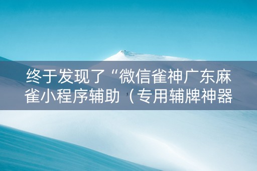终于发现了“微信雀神广东麻雀小程序辅助（专用辅牌神器免安装）