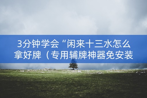 3分钟学会“闲来十三水怎么拿好牌（专用辅牌神器免安装）
