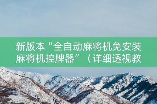新版本“全自动麻将机免安装麻将机控牌器”（详细透视教程）-哔哩哔哩