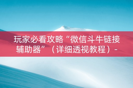 玩家必看攻略“微信斗牛链接辅助器”（详细透视教程）-哔哩哔哩