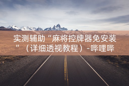 实测辅助“麻将控牌器免安装”（详细透视教程）-哔哩哔哩