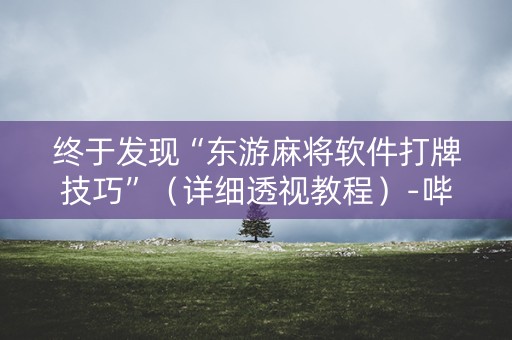 终于发现“东游麻将软件打牌技巧”（详细透视教程）-哔哩哔哩