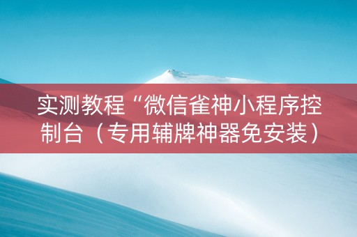 实测教程“微信雀神小程序控制台（专用辅牌神器免安装）