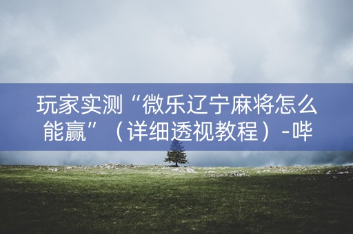 玩家实测“微乐辽宁麻将怎么能赢”（详细透视教程）-哔哩哔哩