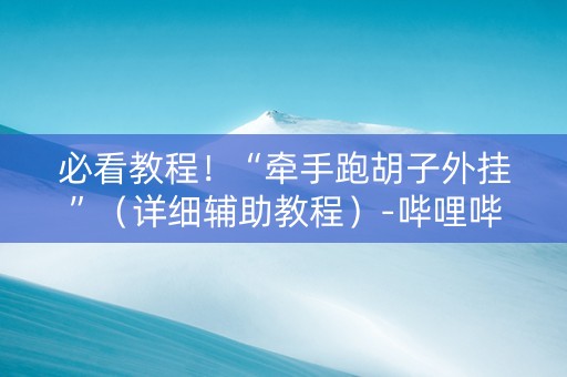 必看教程！“牵手跑胡子外挂”（详细辅助教程）-哔哩哔哩