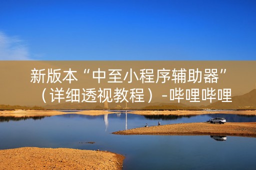 新版本“中至小程序辅助器”（详细透视教程）-哔哩哔哩