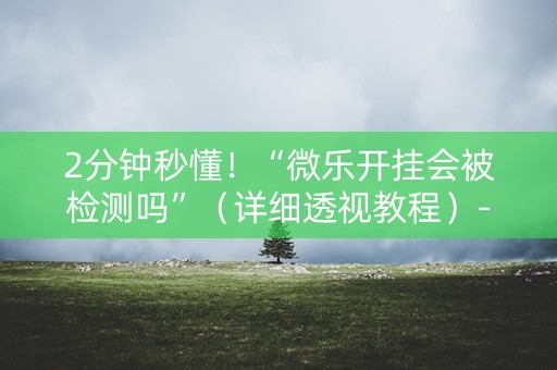 2分钟秒懂！“微乐开挂会被检测吗”（详细透视教程）-哔哩哔哩