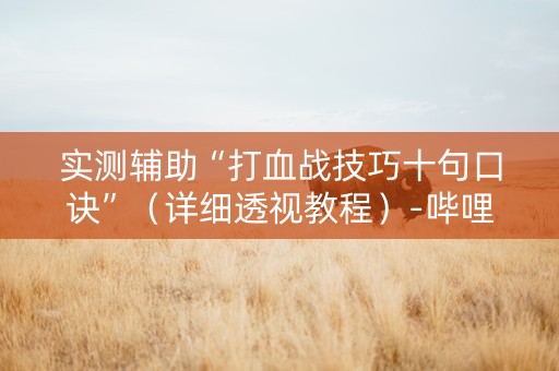 实测辅助“打血战技巧十句口诀”（详细透视教程）-哔哩哔哩