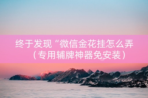 终于发现“微信金花挂怎么弄（专用辅牌神器免安装）