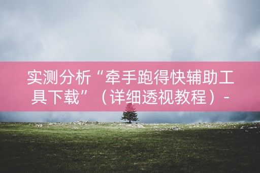 实测分析“牵手跑得快辅助工具下载”（详细透视教程）-哔哩哔哩