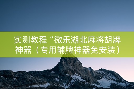 实测教程“微乐湖北麻将胡牌神器（专用辅牌神器免安装）