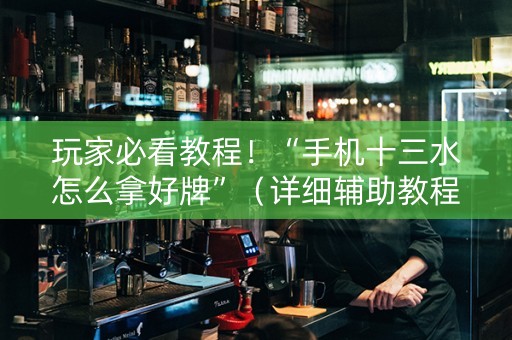 玩家必看教程！“手机十三水怎么拿好牌”（详细辅助教程）-哔哩哔哩