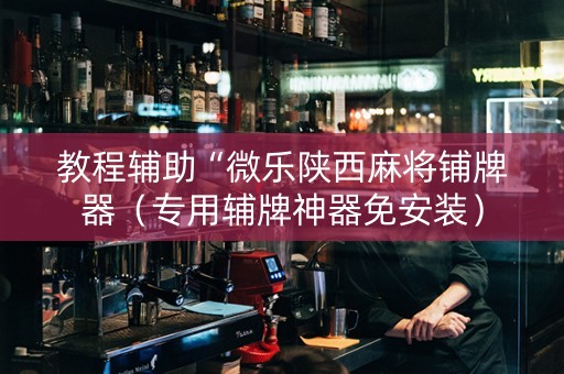 教程辅助“微乐陕西麻将铺牌器（专用辅牌神器免安装）