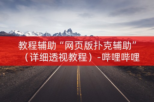 教程辅助“网页版扑克辅助”（详细透视教程）-哔哩哔哩