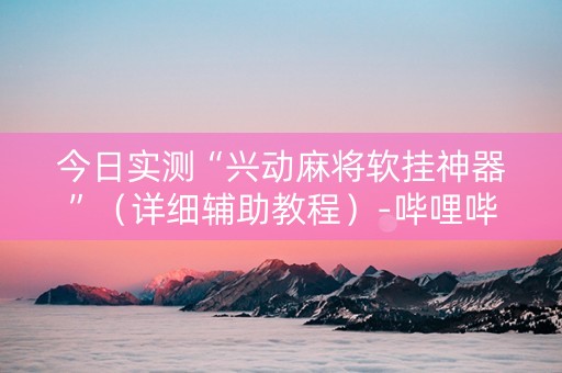 今日实测“兴动麻将软挂神器”（详细辅助教程）-哔哩哔哩