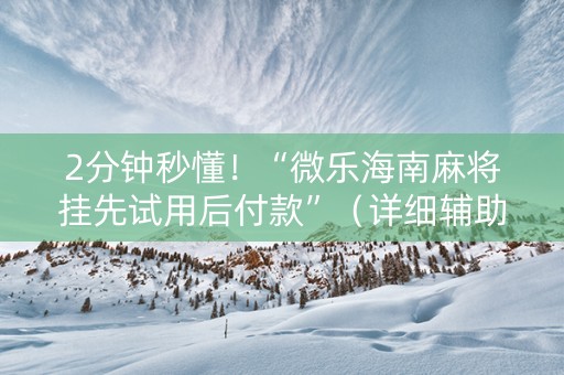 2分钟秒懂！“微乐海南麻将挂先试用后付款”（详细辅助教程）-哔哩哔哩