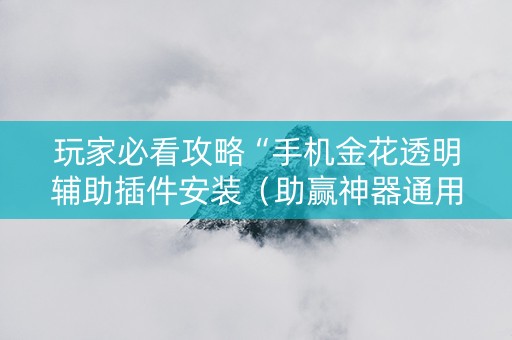 玩家必看攻略“手机金花透明辅助插件安装（助赢神器通用版）