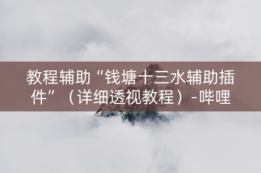 教程辅助“钱塘十三水辅助插件”（详细透视教程）-哔哩哔哩