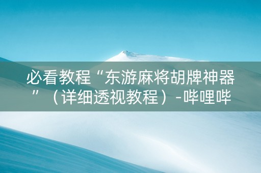 必看教程“东游麻将胡牌神器”（详细透视教程）-哔哩哔哩