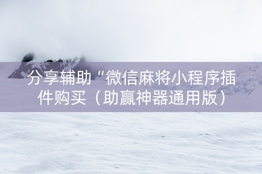 分享辅助“微信麻将小程序插件购买（助赢神器通用版）