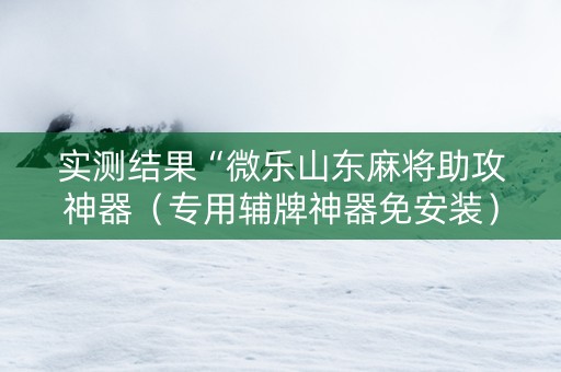 实测结果“微乐山东麻将助攻神器（专用辅牌神器免安装）