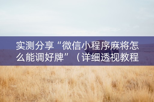 实测分享“微信小程序麻将怎么能调好牌”（详细透视教程）-哔哩哔哩