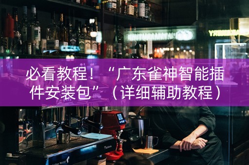 必看教程！“广东雀神智能插件安装包”（详细辅助教程）-哔哩哔哩