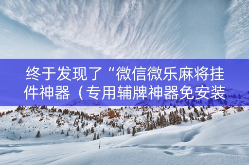 终于发现了“微信微乐麻将挂件神器（专用辅牌神器免安装）