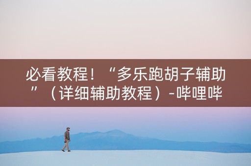 必看教程！“多乐跑胡子辅助”（详细辅助教程）-哔哩哔哩