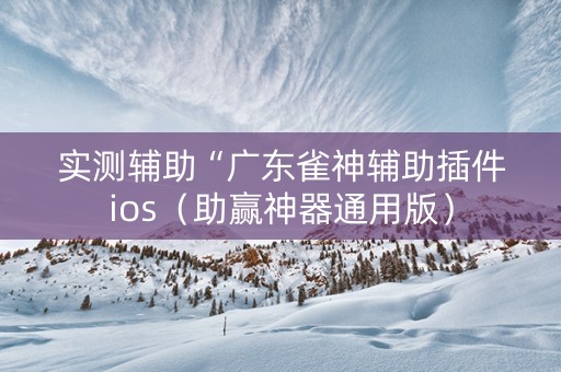 实测辅助“广东雀神辅助插件ios（助赢神器通用版）