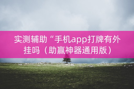 实测辅助“手机app打牌有外挂吗（助赢神器通用版）