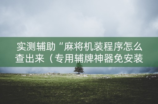 实测辅助“麻将机装程序怎么查出来（专用辅牌神器免安装）