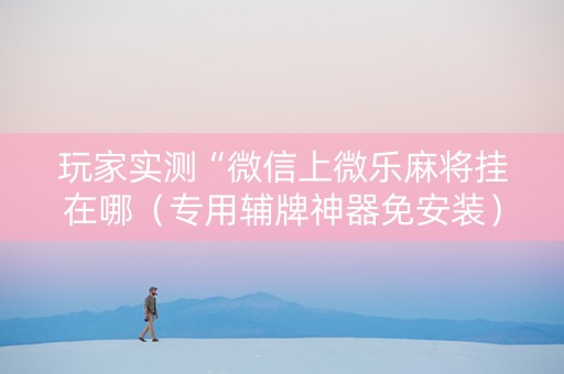 玩家实测“微信上微乐麻将挂在哪（专用辅牌神器免安装）