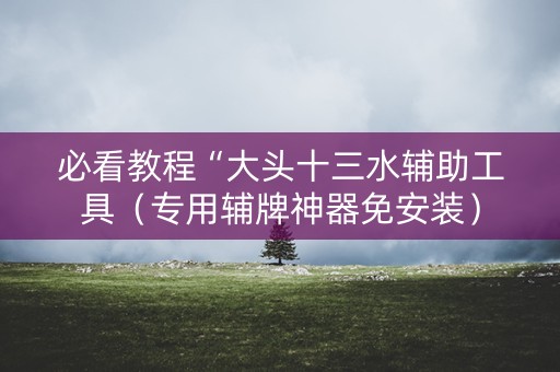 必看教程“大头十三水辅助工具（专用辅牌神器免安装）