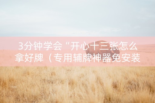 3分钟学会“开心十三张怎么拿好牌（专用辅牌神器免安装）