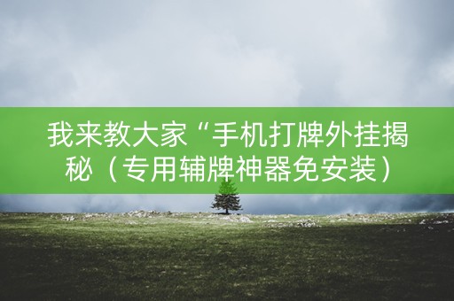 我来教大家“手机打牌外挂揭秘（专用辅牌神器免安装）