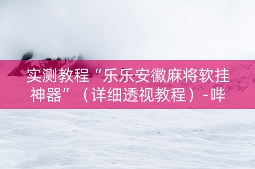 实测教程“乐乐安徽麻将软挂神器”（详细透视教程）-哔哩哔哩