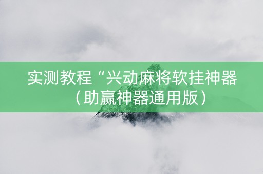 实测教程“兴动麻将软挂神器（助赢神器通用版）