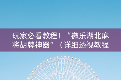 玩家必看教程！“微乐湖北麻将胡牌神器”（详细透视教程）-哔哩哔哩