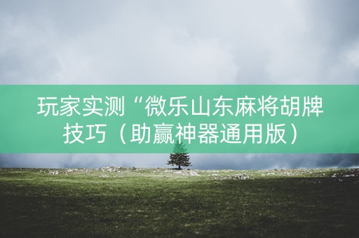 玩家实测“微乐山东麻将胡牌技巧（助赢神器通用版）