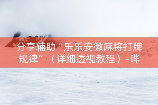分享辅助“乐乐安徽麻将打牌规律”（详细透视教程）-哔哩哔哩