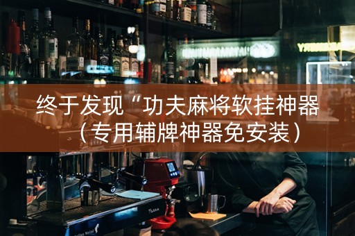 终于发现“功夫麻将软挂神器（专用辅牌神器免安装）